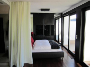 Penthouse mit Donaublick